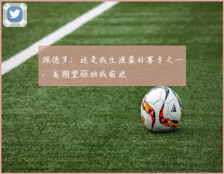 佩德罗：这是我生涯最好赛季之一，高期望驱动我前进
